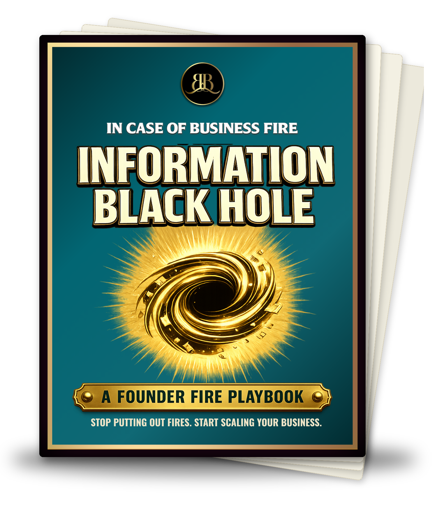 The Information Black Hole